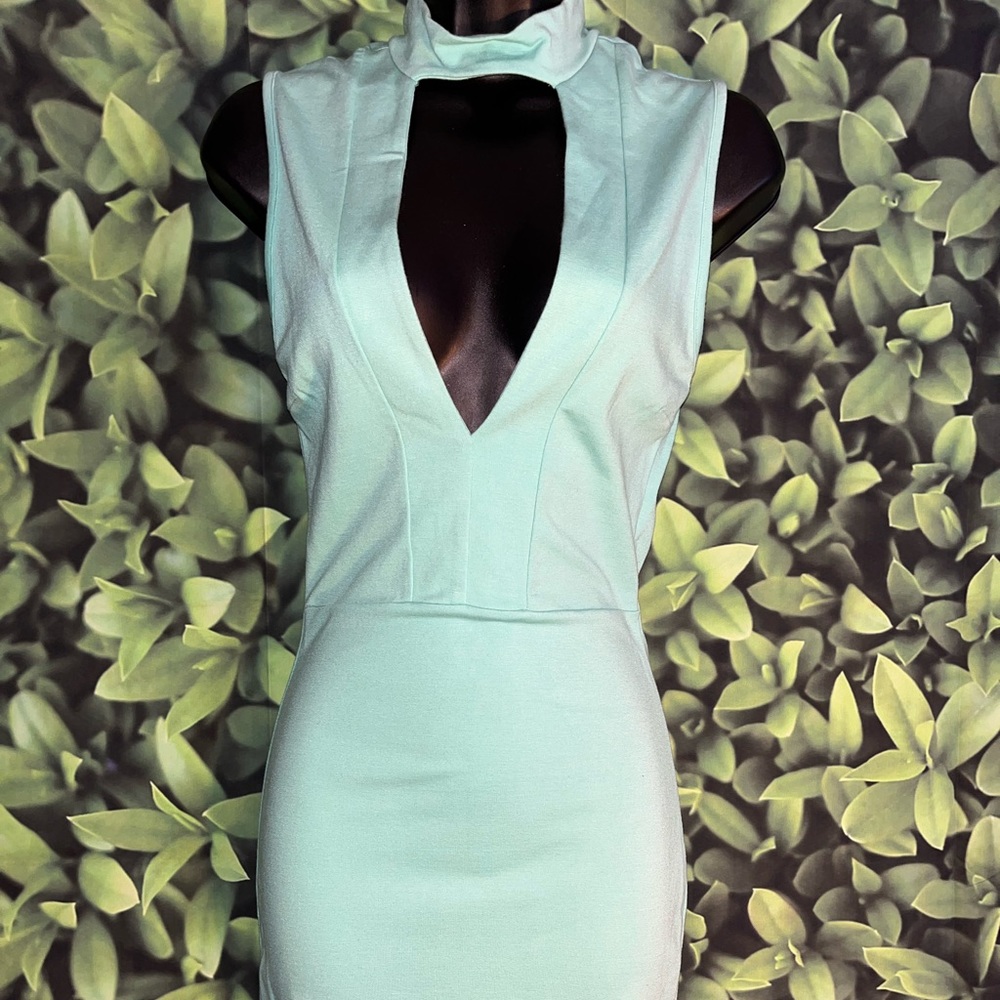 Privy Mini mint Dress